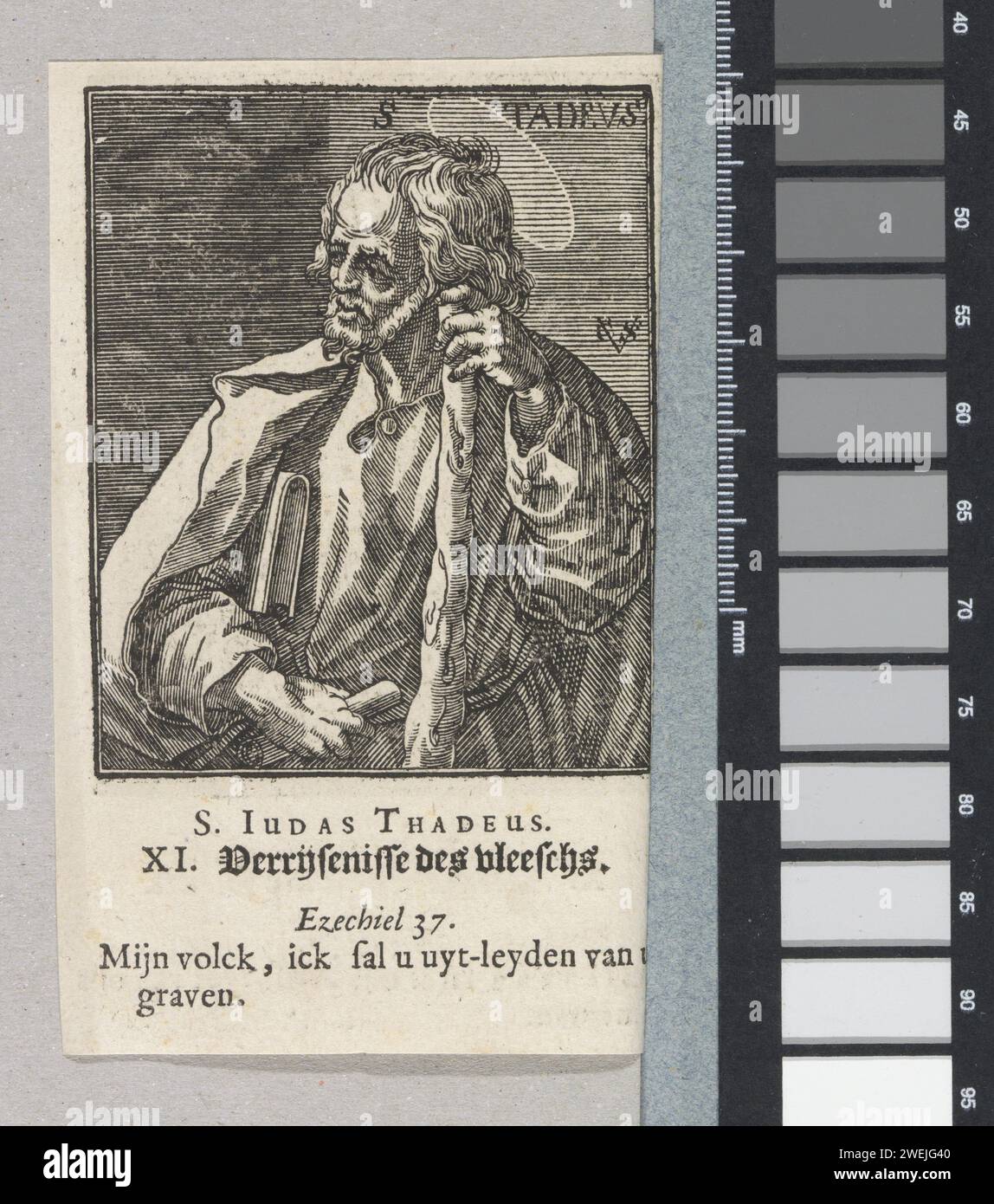 Apostel Judas Thaddeüs, in o dopo il 1629 - in o prima del 1646 stampa l'apostolo Judas Thaddeüs con libro e club. Sotto la prestazione numerata XI Inoltre, una didascalia in lingua olandese con una regola dal credo e una regola del testo da Ezechiele 37. La stampa fa parte di un album. Tipografia cartacea che stampa l'apostolo James the Less, primo vescovo di Gerusalemme; possibili attributi: Libro, club del pieno, rotolo. L'apostolo Jude Thaddaeus; possibili attributi: Libro, club, halberd, scroll Foto Stock