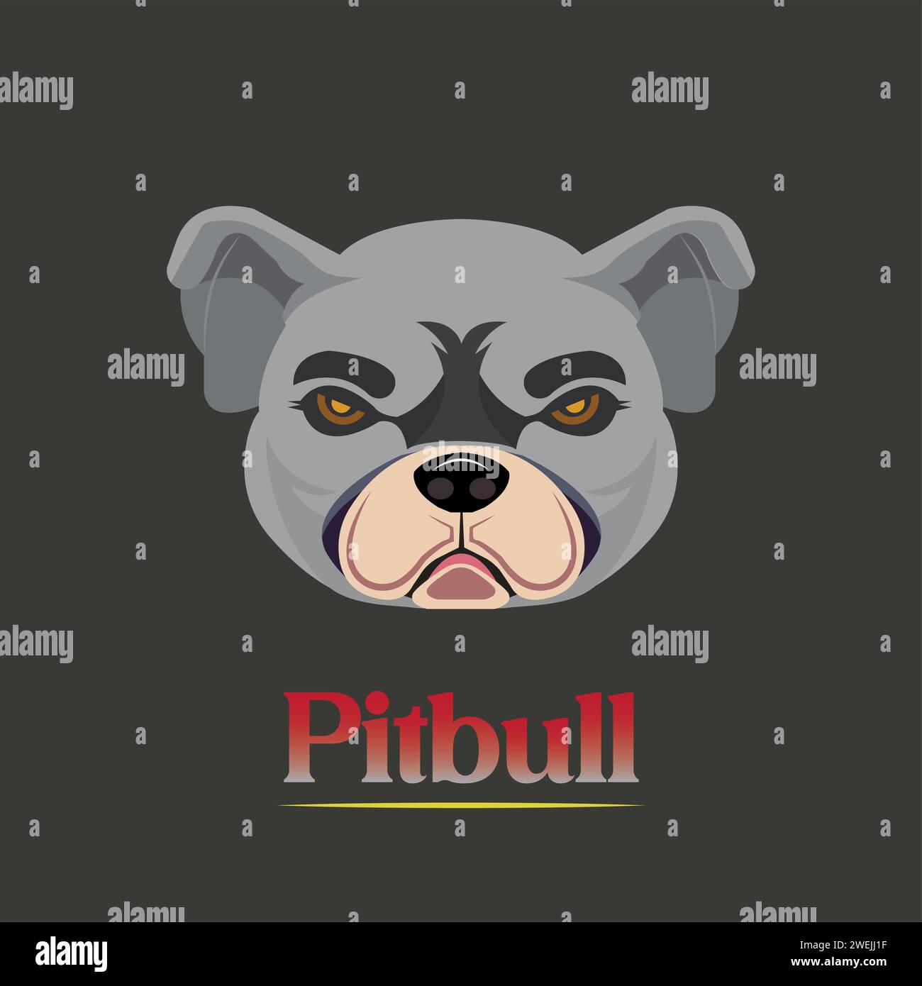 Pit Bull è il termine usato negli Stati Uniti per indicare un tipo di cane che si ritiene discenda dal toro e terrier, mentre in altri paesi come Foto Stock