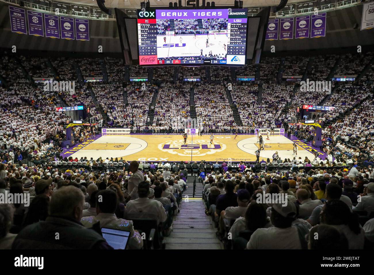 Baton Rouge, LOUISIANA, USA. 25 gennaio 2024. La PMAC era viva e rumorosa durante l'NCAA Women's Basketball Game tra i South Carolina Gamecocks e i LSU Tigers al Pete Maravich Assembly Center di Baton Rouge, LOUISIANA. Jonathan Mailhes/CSM/Alamy Live News Foto Stock