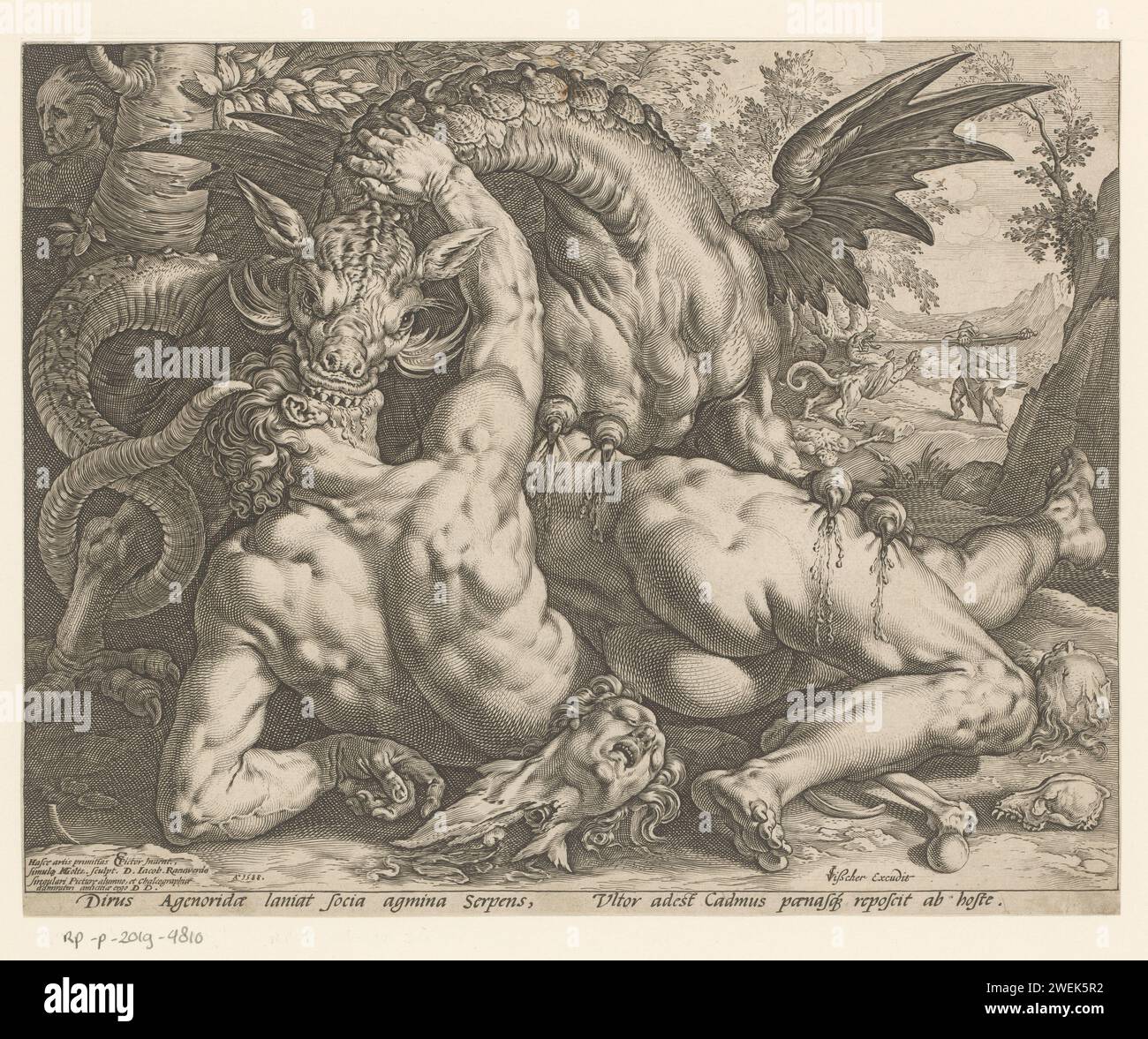 I compagni di Cadmus divorati da un drago, Hendrick Goltzius, dopo Cornelis Cornelisz. Van Haarlem, c. 1601 - 1652 stampa Un drago mette i denti nella testa di un giovane uomo, i suoi artigli nel corpo di un'altra persona. Sullo sfondo, un uomo combatte contro il drago. Sotto lo spettacolo una regola del testo latino. Incisione di carta i compagni di Cadmus, inviati a prendere l'acqua, vengono uccisi dal drago che sorvegliava la sorgente Foto Stock
