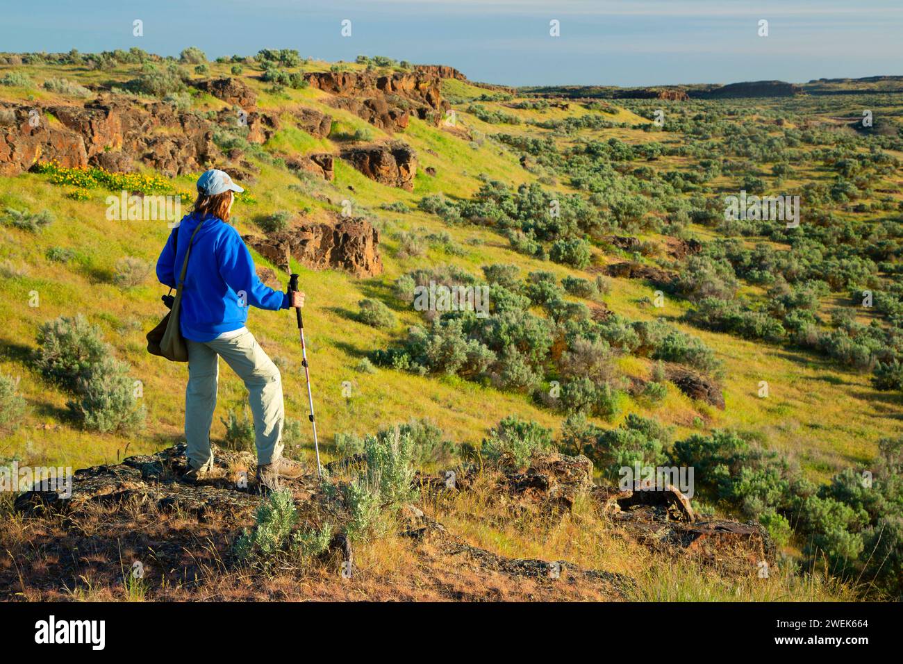 Sagebrush prateria, Columbia National Wildlife Refuge, Washington Foto Stock