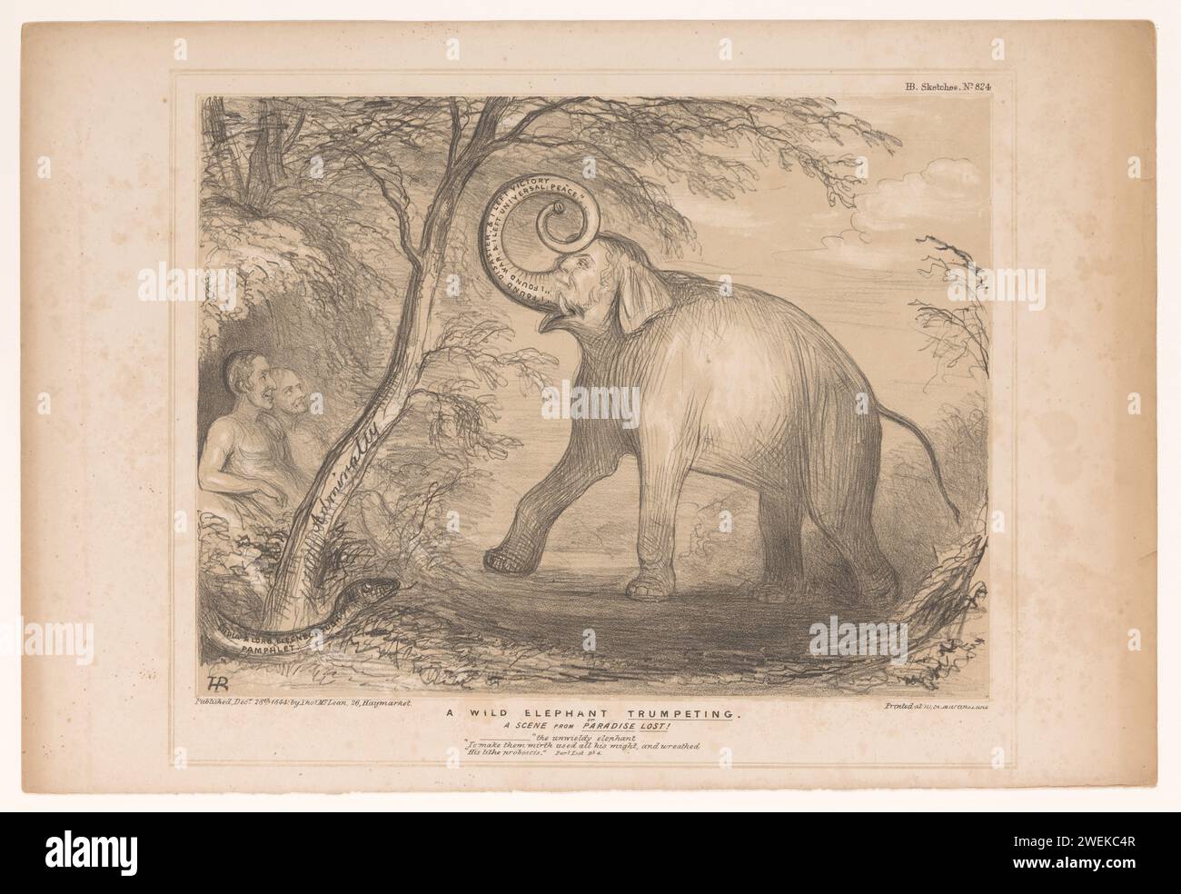 Cartone animato con Lord Ellenborough come elefante selvatico, John Doyle, 1844 stampa Cartoon del 1844 con Lord Ellenborough, governatore generale dell'India britannica, come elefante selvatico. Pubblicato come n.. 824 nella serie HB Sketches. Paper Punch e Judy. caricature politiche e satire Foto Stock