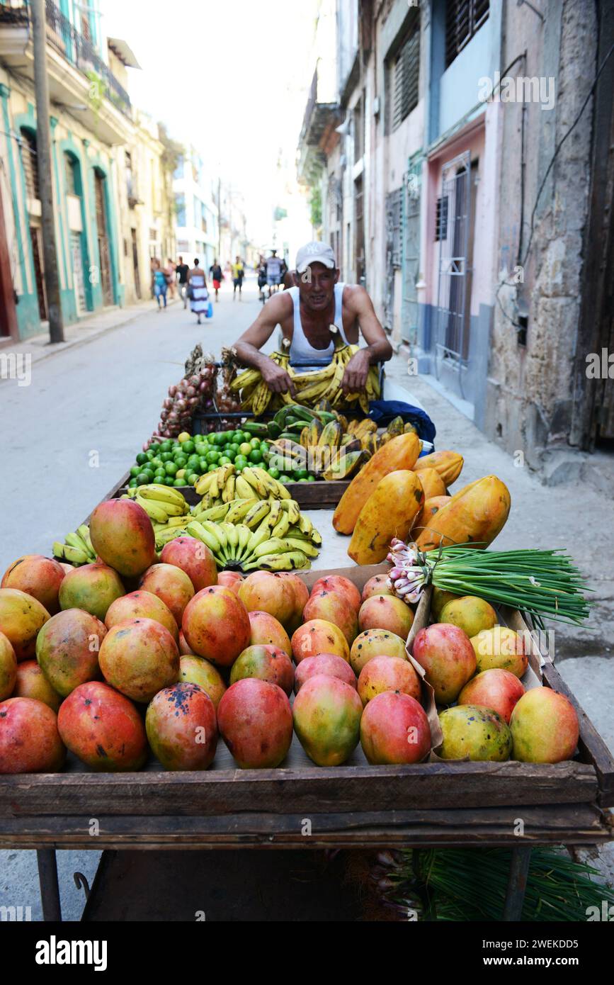Un fornitore di frutta mobile a l'Avana Vecchia, Cuba. Foto Stock