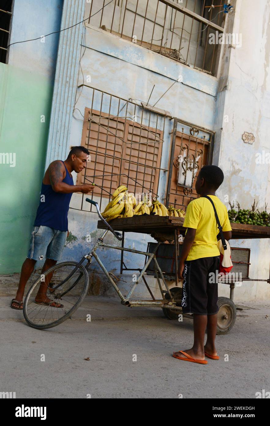 Un fornitore mobile di frutta a l'Avana vecchia, Cuba. Foto Stock