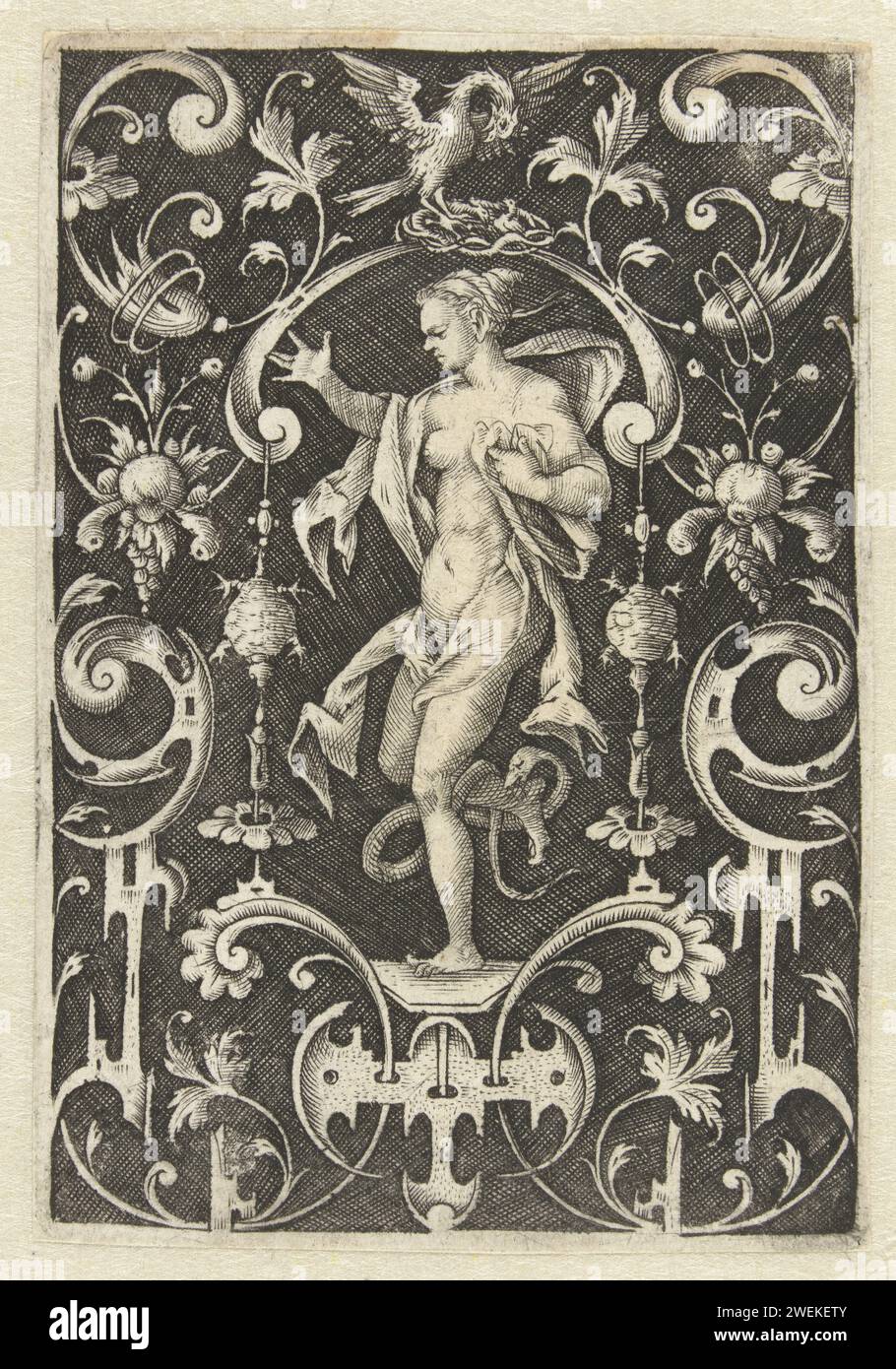 Decorazione piatta con la sensazione, 1563 - 1633 stampa Una donna che viene morsa da un serpente nella caviglia tra due tartarughe. Sfondo ombreggiato. Dalla serie composta da una pagina del titolo e da 5 fogli con decorazioni piatte. incisione su carta Foto Stock