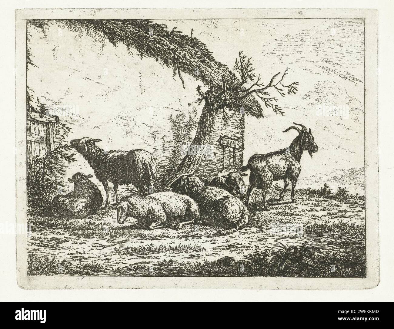 Goat and Sheep at the Farmer Barn, Johannes van Cuylenburgh, 1803 - 1841 stampa di carta che incide le pecore. capra Foto Stock