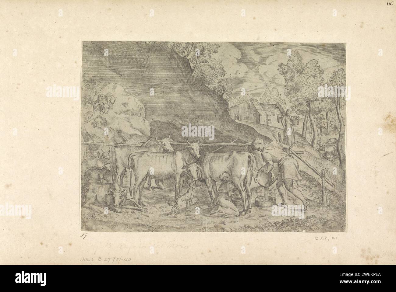 Paesaggio con mucca da latte, Battista angolo del Moro, dopo Tiziano, stampa 1524 - 1575 paesaggio con mucche e pecore. La moglie di un contadino sta mungendo una mucca. Un contadino versa il latte in un'altra botte. Una fattoria sullo sfondo. carta che incide paesaggi. contadini. mungitura. mucca Foto Stock