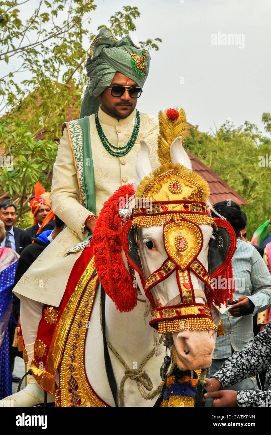 Matrimonio indiano, sposo a cavallo decorato, India, MR#773A. Foto Stock