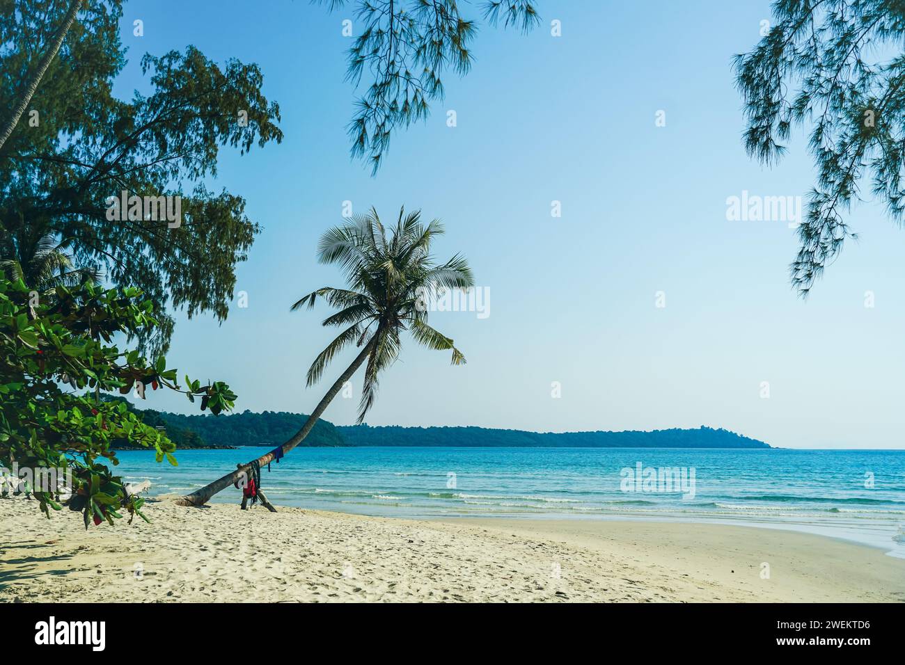 Splendida spiaggia con palme e mare turchese nell'isola di Koh Kood, Thailandia. Spiaggia di mare tropicale con sabbia e palme da cocco, sfondo azzurro del cielo. Su Foto Stock