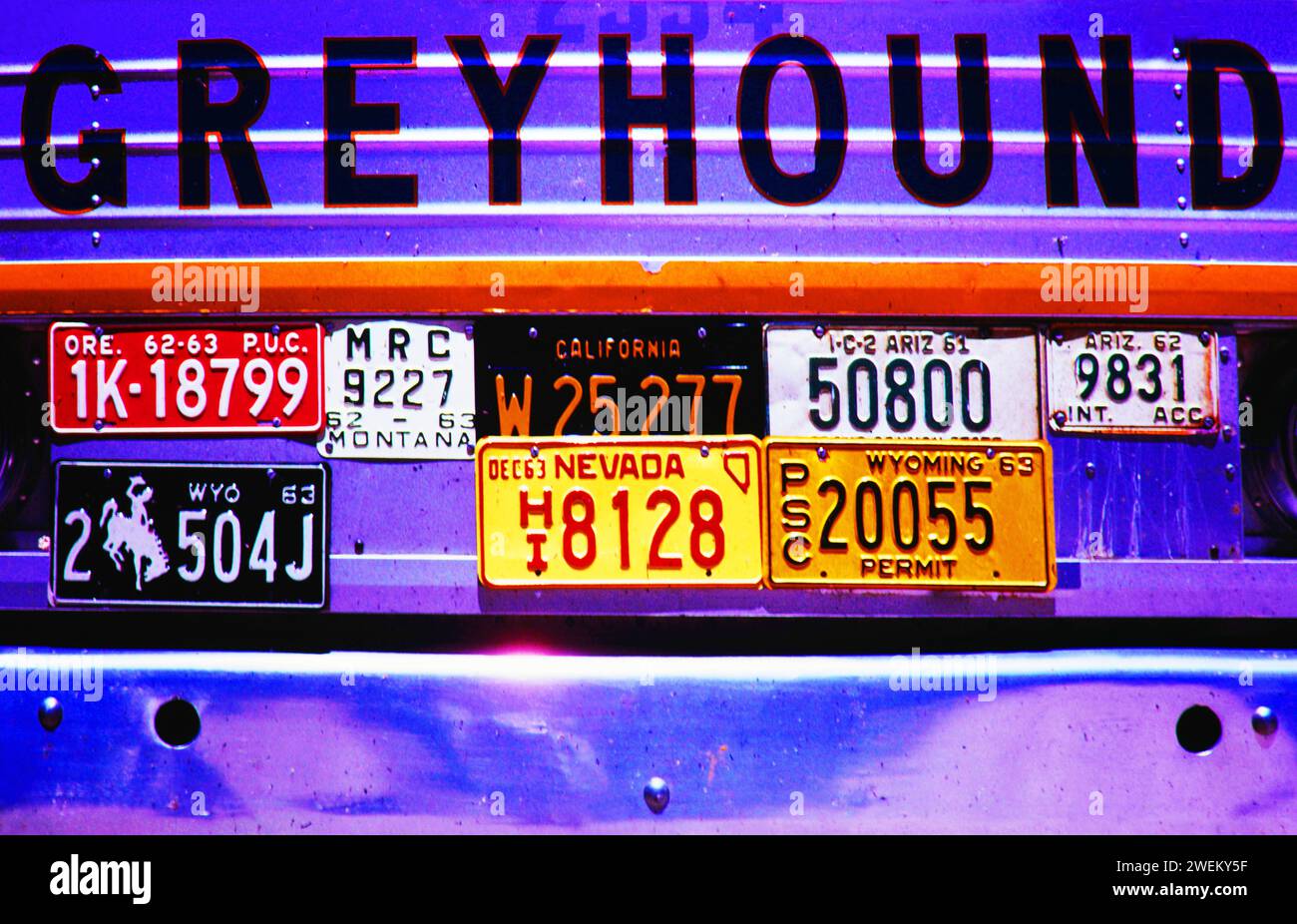 GREYHOUND Bus USA, 20240101, Aufnahme CA. 1964, Symbolbild, GREYHOUND Bus *** GREYHOUND Bus USA,20240101, foto CA 1964, immagine simbolica, GREYHOUND Bus Foto Stock