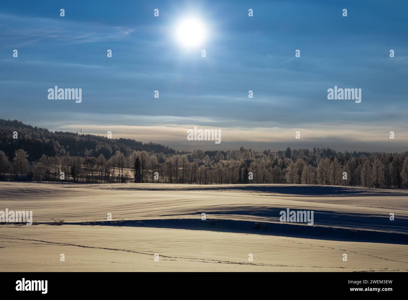 Scena invernale, sole su una collina innevata con una foresta ghiacciata al centro e un cielo blu con interessanti nuvole bianche. Foto Stock