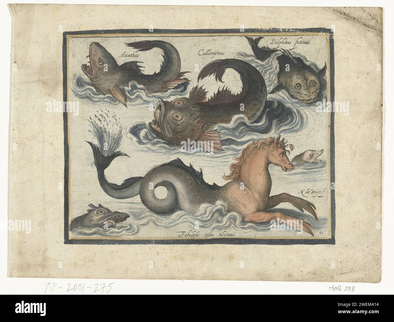 Fantastici animali acquatici, tra cui il cavallo di mare, Nicolaes de Bruyn, 1581 - 1656 esemplari fantastici animali acquatici, tra cui il cavallo di mare con iscrizioni in latino e olandese che identificano gli animali. incisione su carta cavallo di mare, ippocampo, ippocampo, (cavallo/pesce) (mostro ibrido mitologico) Foto Stock