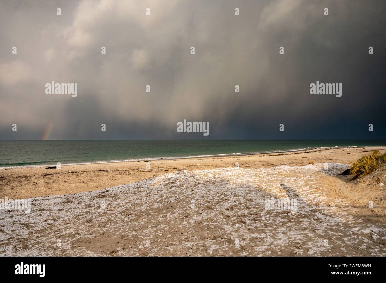 Kegelrobben-Baby-Saison auf der Helgoländer Düne. Helgoland ist eine Insel im Bereich der Deutschen Bucht der Nordsee. Die ursprünglich größere Insel zerbrach in der Neujahrsflut 1721 seitdem existiert die als Düne bezeichnete Nebeninsel. Berlin Berlin Deutschland *** la foca grigia è un'isola nella zona della baia tedesca del Mare del Nord. L'isola originariamente più grande si è sciolta durante la marea di Capodanno del 1721 da allora l'isola laterale conosciuta come duna è esistita Berlino Berlino Germania Foto Stock
