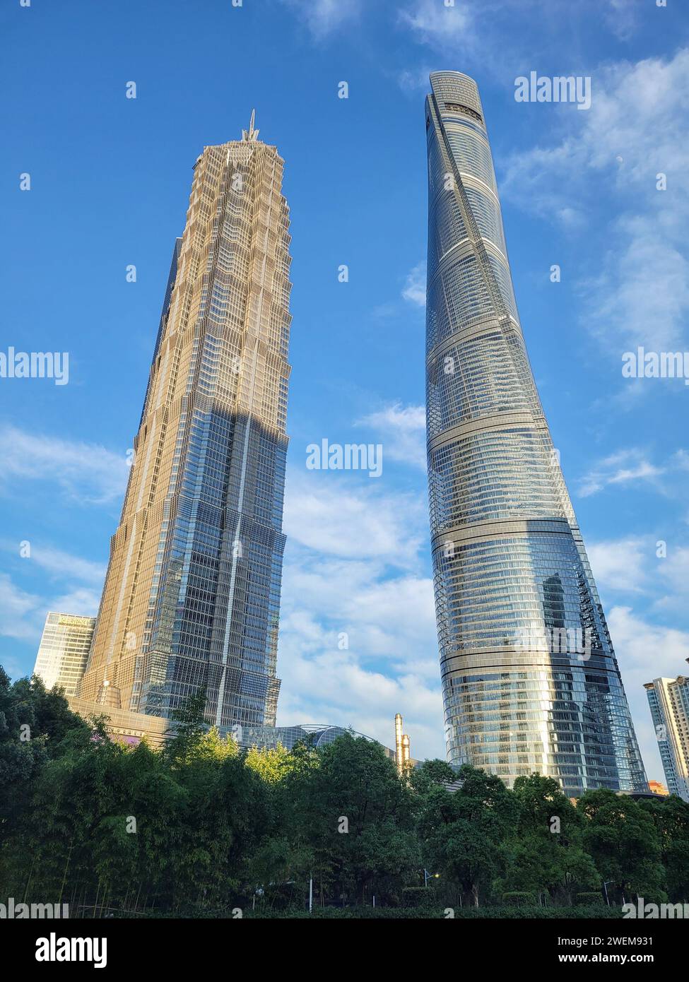 Shanghai Tower e Jin Mao Tower nel moderno quartiere degli affari di Pudong a Shanghai, Cina Foto Stock