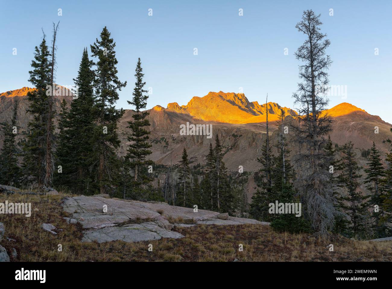 Monte Silverthorne nell'Eagles Nest Wilderness, Colorado Foto Stock
