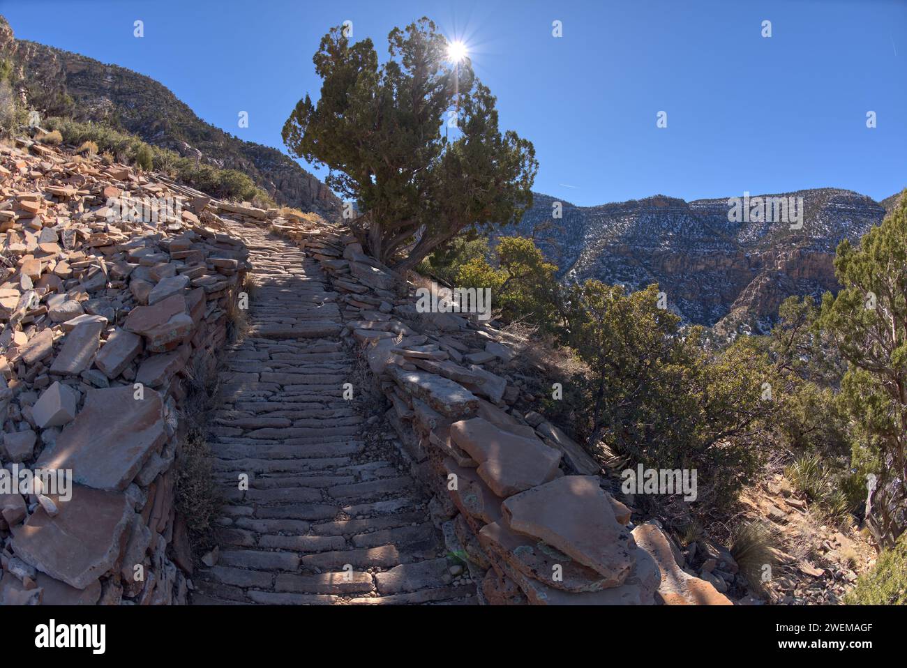 Percorso roccioso all'Hermit Canyon, Grand Canyon, Arizona Foto Stock