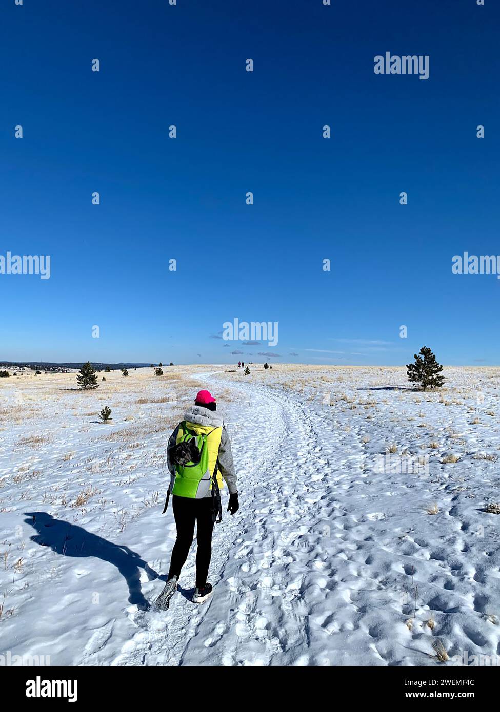 Lone Hiker and Dog sul Snowy Colorado Trail Foto Stock