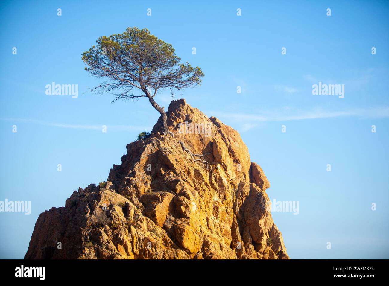 costa marina, località, montagne, foresta, mare, rocce, sentieri di montagna, turismo, località ecologica, città costiera, fauna selvatica, città costiera spagnola, Tossa de Foto Stock