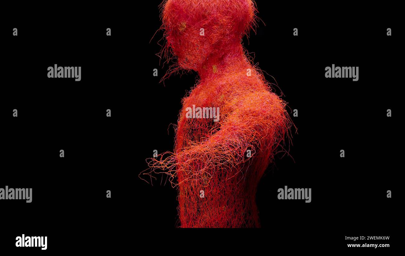 Sistema circolatorio arterioso e venoso umano, animazione medicalmente accurata di Vains e arterie crescita, vasi sanguigni, rete capillari rossi, 3d re Foto Stock