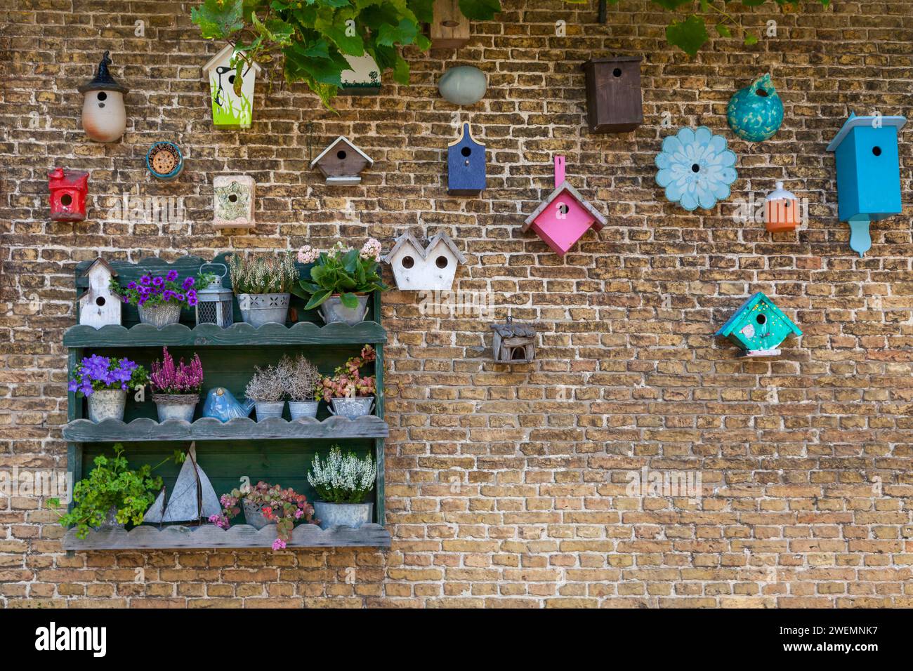 Mensola per fiori e birdhouse su una parete della casa, De Waal, Texel, Olanda settentrionale, Paesi Bassi Foto Stock