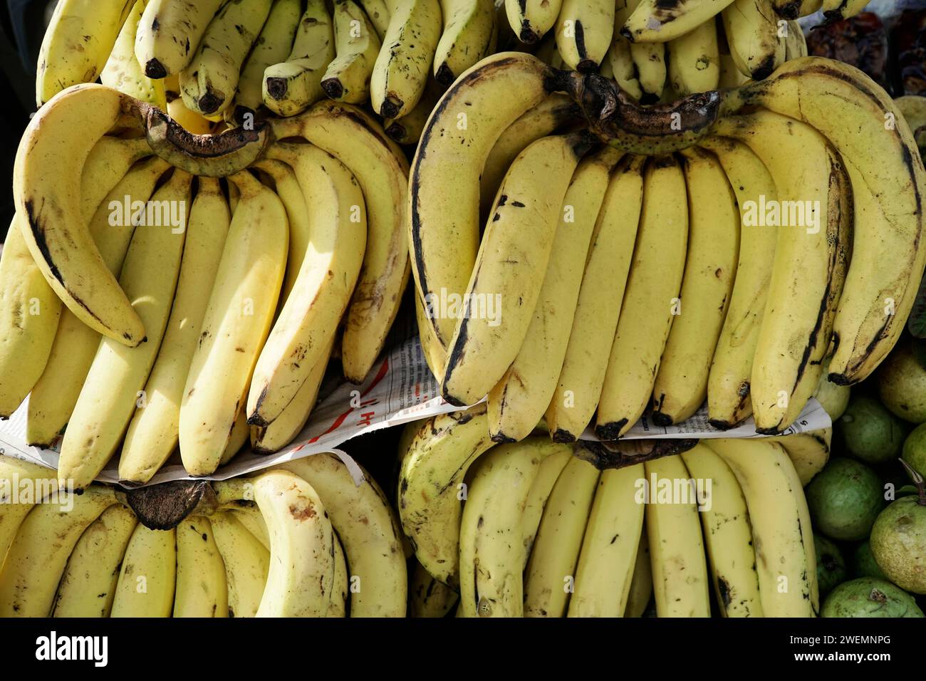 Vendita di banane, bazar di strada, Udaipur, Rajasthan, India Foto Stock