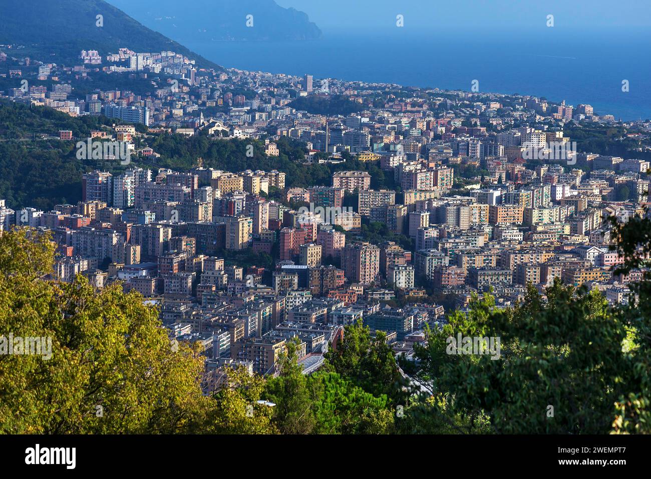 Vista della città e del Mar Ligure da Granarolo, Genova, Italia Foto Stock