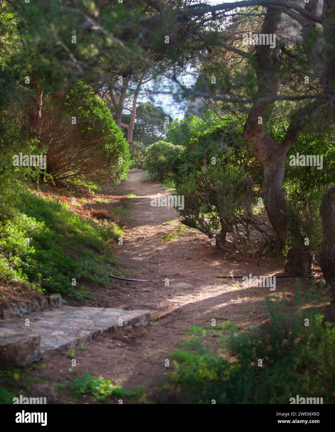 costa marina, località, montagne, foresta, mare, rocce, sentieri di montagna, turismo, località ecologica, città costiera, fauna selvatica, città costiera spagnola, Tossa de Foto Stock