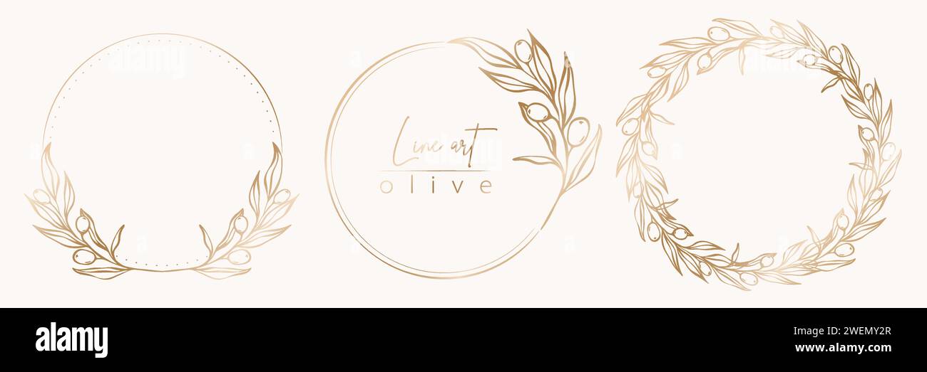 Set di illustrazioni di linee botaniche di foglie d'oliva, corona di ramificazione per inviti e biglietti di nozze, logo, web, social media e modello di poster. Illustrazione Vettoriale