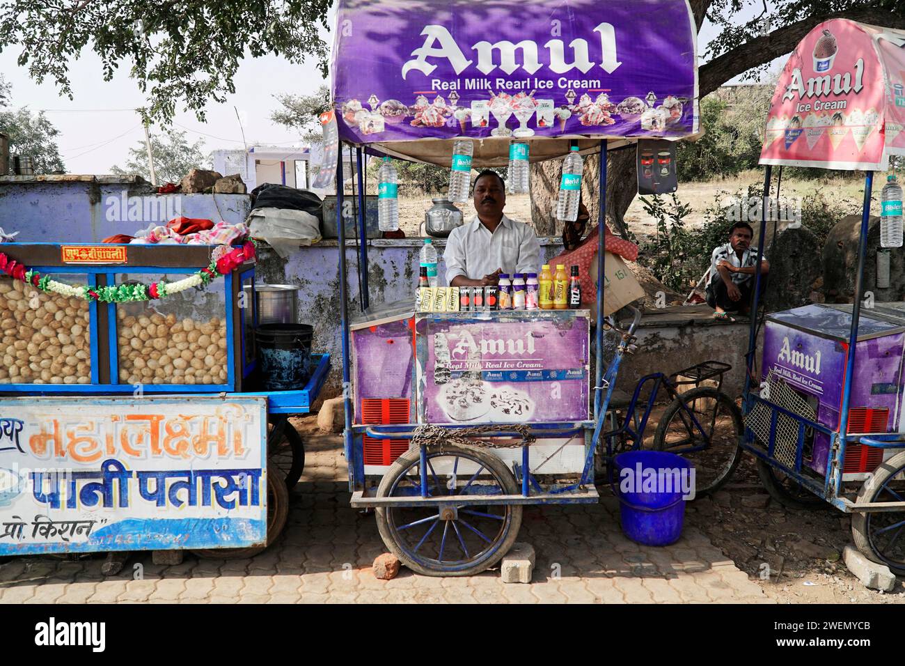 Street vending, Udaipur, Rajasthan, India Foto Stock