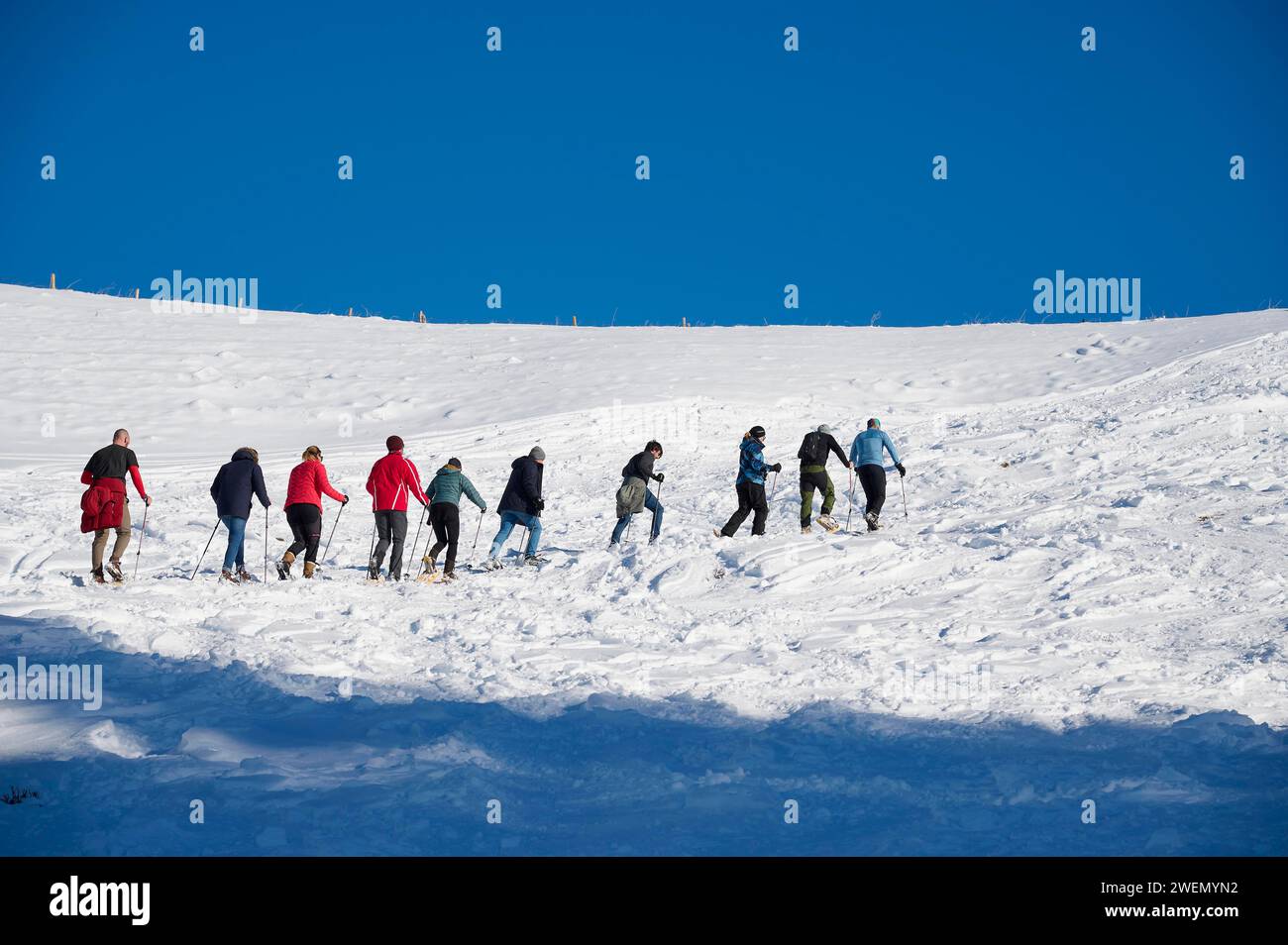 Gruppo di escursionisti con le racchette da neve, dieci persone, che salgono al Taubensteinhaus vicino a Taubenstein, inverno, neve, Spitzingsee, montagne della Mangfall, bavarese Foto Stock