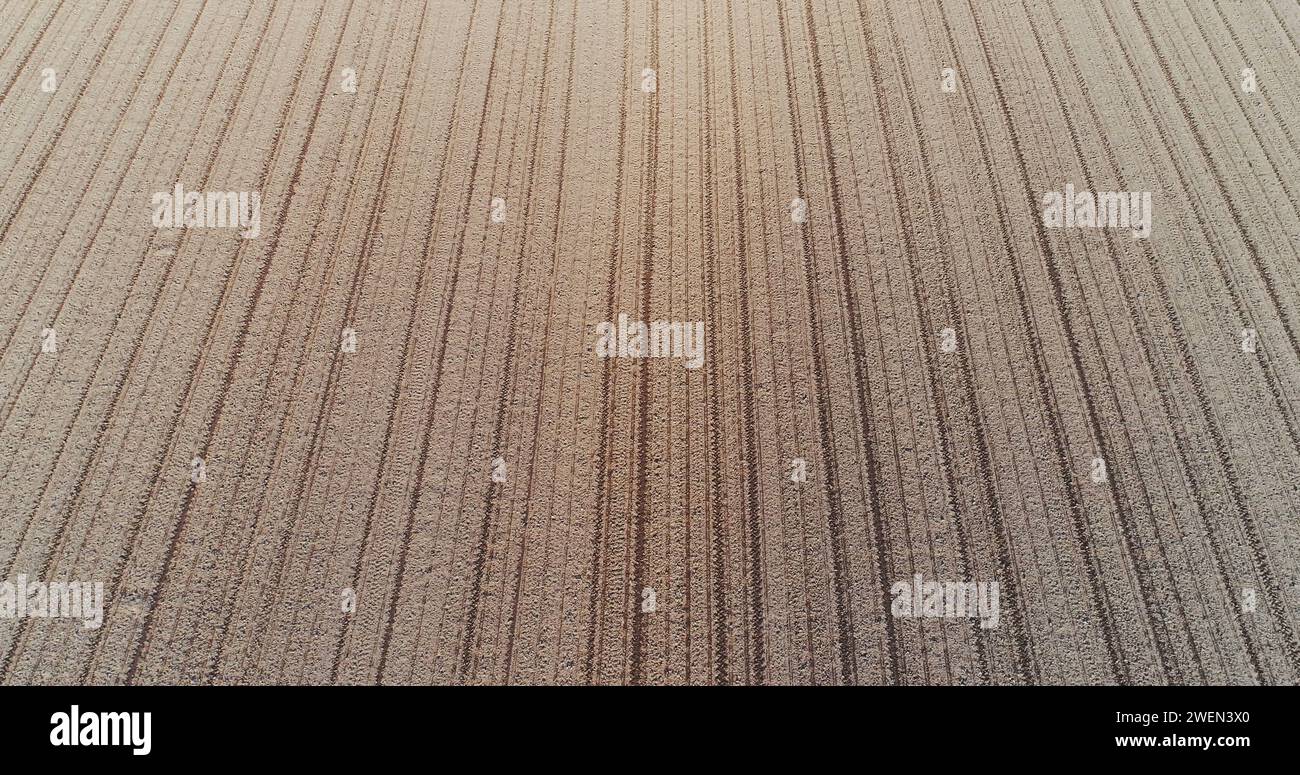 Campo agricolo coltivato fresco - produzione di alimenti senza OGM - drone, vista aerea. Foto Stock