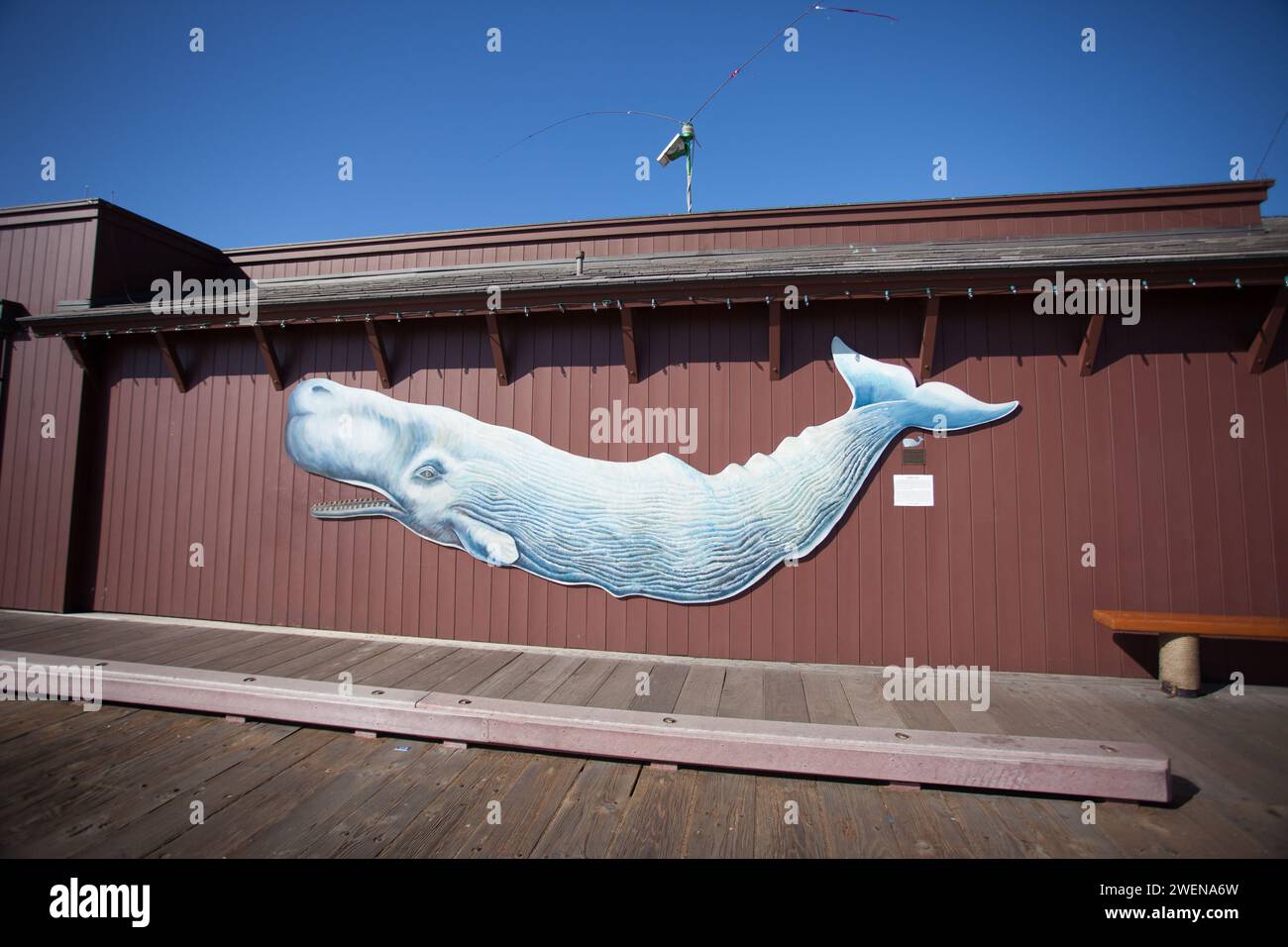 Murale di un capodoglio in un negozio al dettaglio lungo il molo di Santa Barbara in California, noto anche come Stearns Wharf. Foto Stock