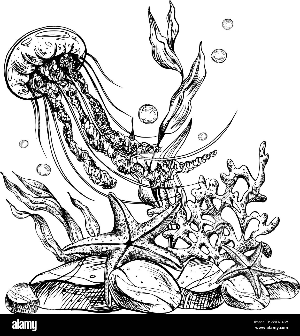 Clipart subacqueo con animali marini meduse, stelle marine, ciottoli, bolle, coralli, spugna e alghe. Illustrazione grafica disegnata a mano con inchiostro nero Illustrazione Vettoriale