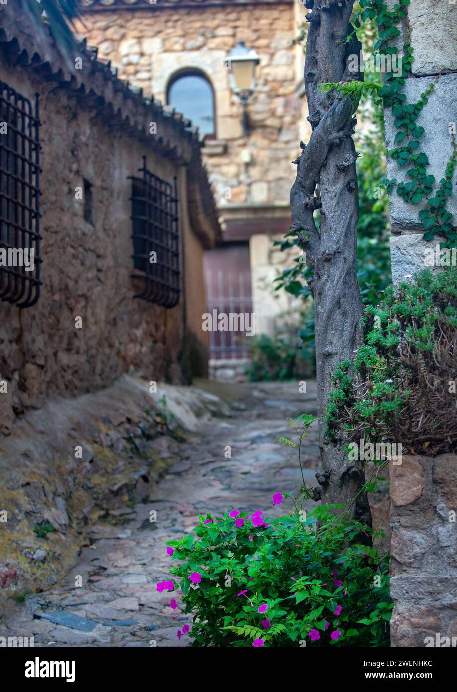 Catalogna, Tossa de Mar, tranquilla città costiera, resort, antica fortezza, stradine strette della città vecchia, panorama della città, tetti rossi di case, fortezza Foto Stock
