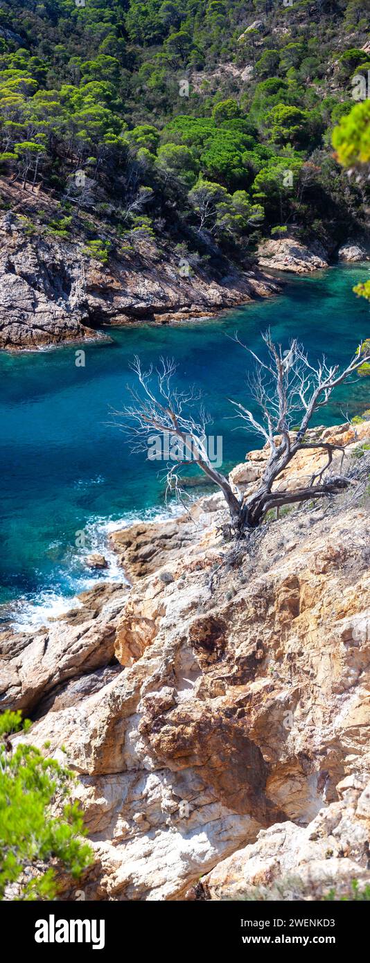 costa marina, località, montagne, foresta, mare, rocce, sentieri di montagna, turismo, località ecologica, città costiera, fauna selvatica, città costiera spagnola, Tossa de Foto Stock