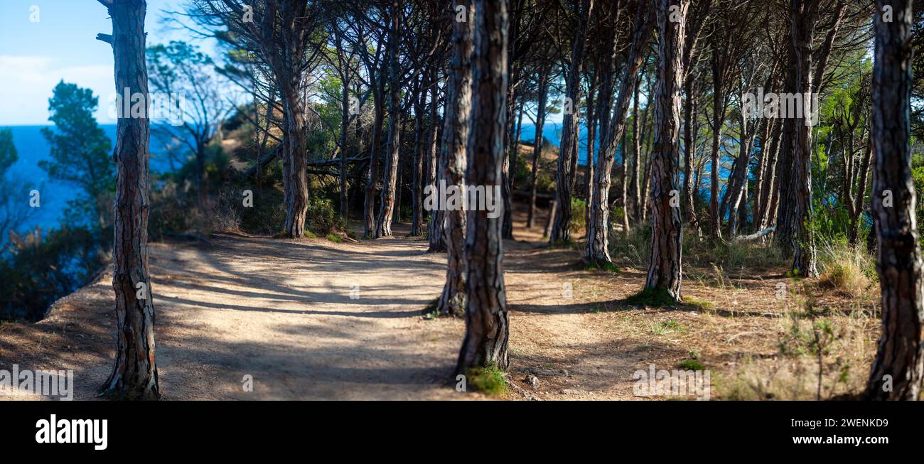 costa marina, località, montagne, foresta, mare, rocce, sentieri di montagna, turismo, località ecologica, città costiera, fauna selvatica, città costiera spagnola, Tossa de Foto Stock