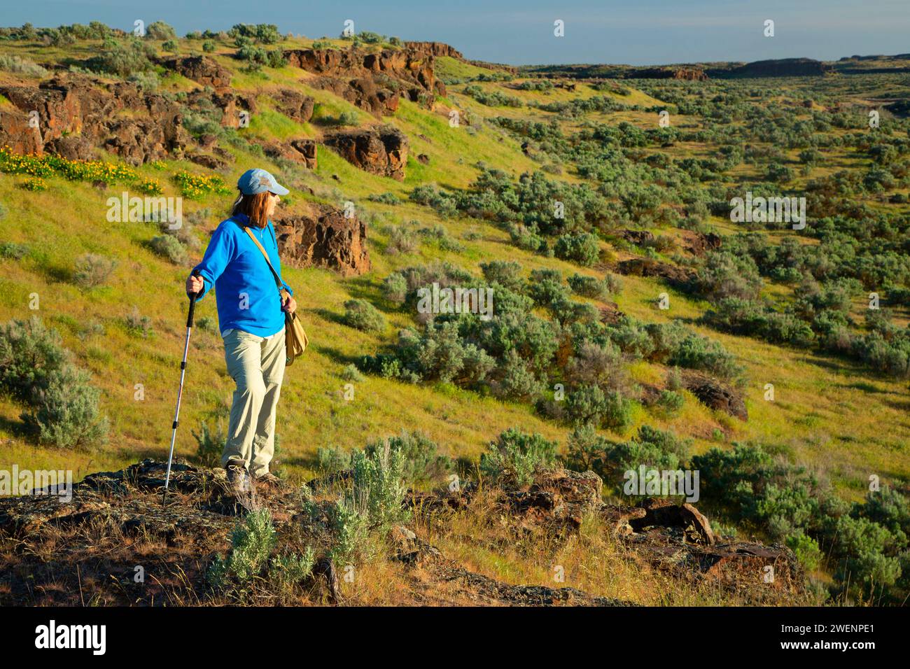 Sagebrush prateria, Columbia National Wildlife Refuge, Washington Foto Stock