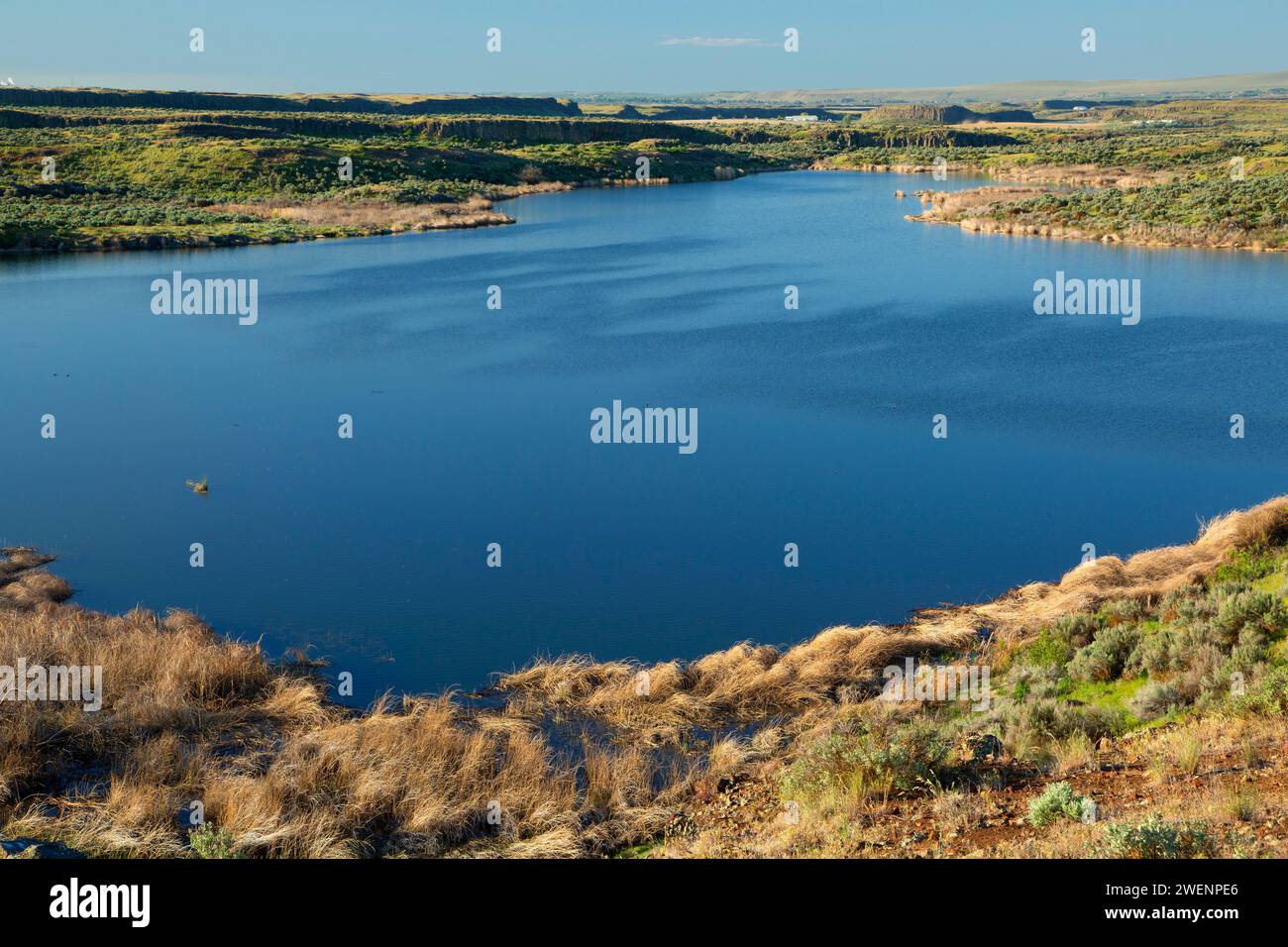 Upper Hampton Lake, Columbia National Wildlife Refuge, Washington Foto Stock