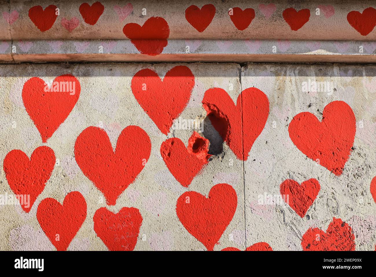 Londra, Regno Unito. 26 gennaio 2024. Riscaldatori sul muro che non hanno ancora rinnovato i loro messaggi. I volontari del National Covid Memorial Wall conservano alcuni degli oltre 200 cuori, ognuno dei quali rappresenta qualcuno che è morto di Covid. I volontari, anche di famiglie in lutto, ridipingono meticolosamente i cuori rossi, poi ripercorrono i messaggi su di loro. Attualmente si battono anche per preservare il muro come memoriale e sollecitano il governo ad agire in base alle raccomandazioni formulate dalla Commissione britannica per la commemorazione dei Covidi, presieduta dalla baronessa Morgan, per farlo. Crediti: Imageplotter/Alamy Live News Foto Stock