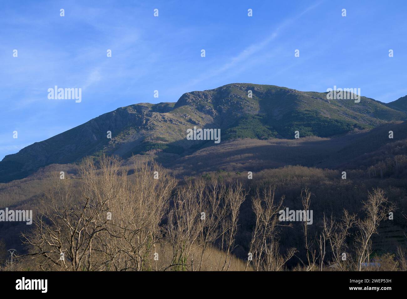 Paesaggio forestale con alberi senza foglie in inverno con montagne di granito e cielo blu orizzontalmente Foto Stock