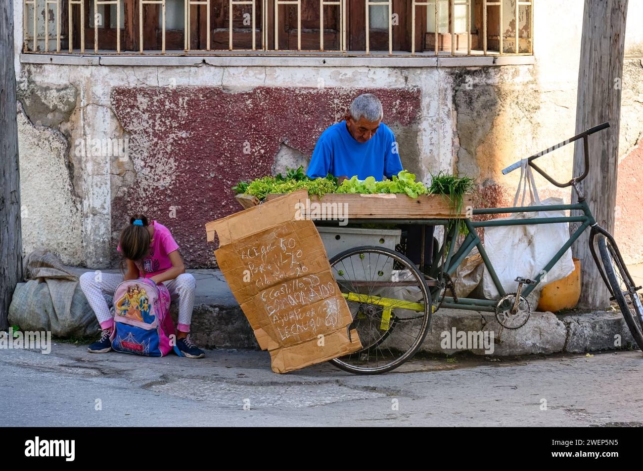 uomo anziano che vende verdure nell'angolo della città, santa clara, cuba Foto Stock