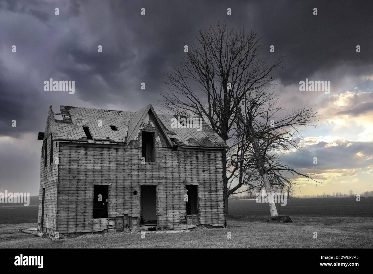 Granaio rustico in mezzo a un vasto campo di prateria Foto Stock