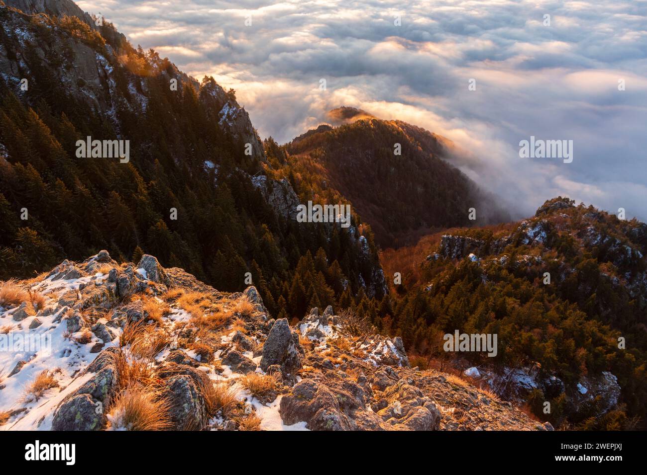 Il pendio innevato sulle nuvole all'alba, Carpazi Foto Stock