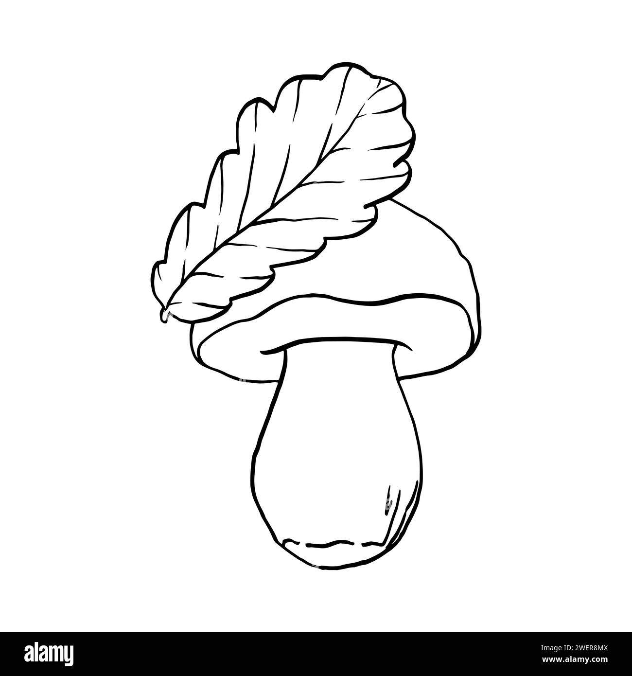 Illustrazione del contorno vettoriale con linee nere funghi e foglie di quercia disegnate a mano, famiglia di funghi commestibili. Semplice clip grafica piatte con porcini per la d Illustrazione Vettoriale