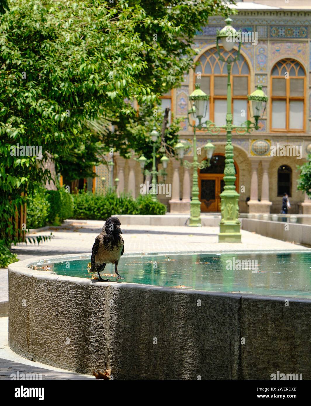Laghetto d'acqua ed enorme corvo di corvo (corvine) Palazzo del Golestan, Teheran, Iran. Foto Stock