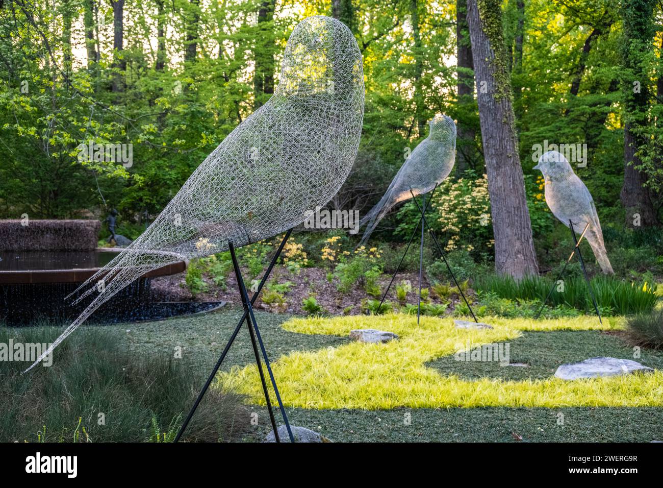 Sculture di uccelli in rete metallica nel giardino delle camere Ann Cox presso l'Atlanta Botanical Garden a Midtown Atlanta, Georgia. (USA) Foto Stock