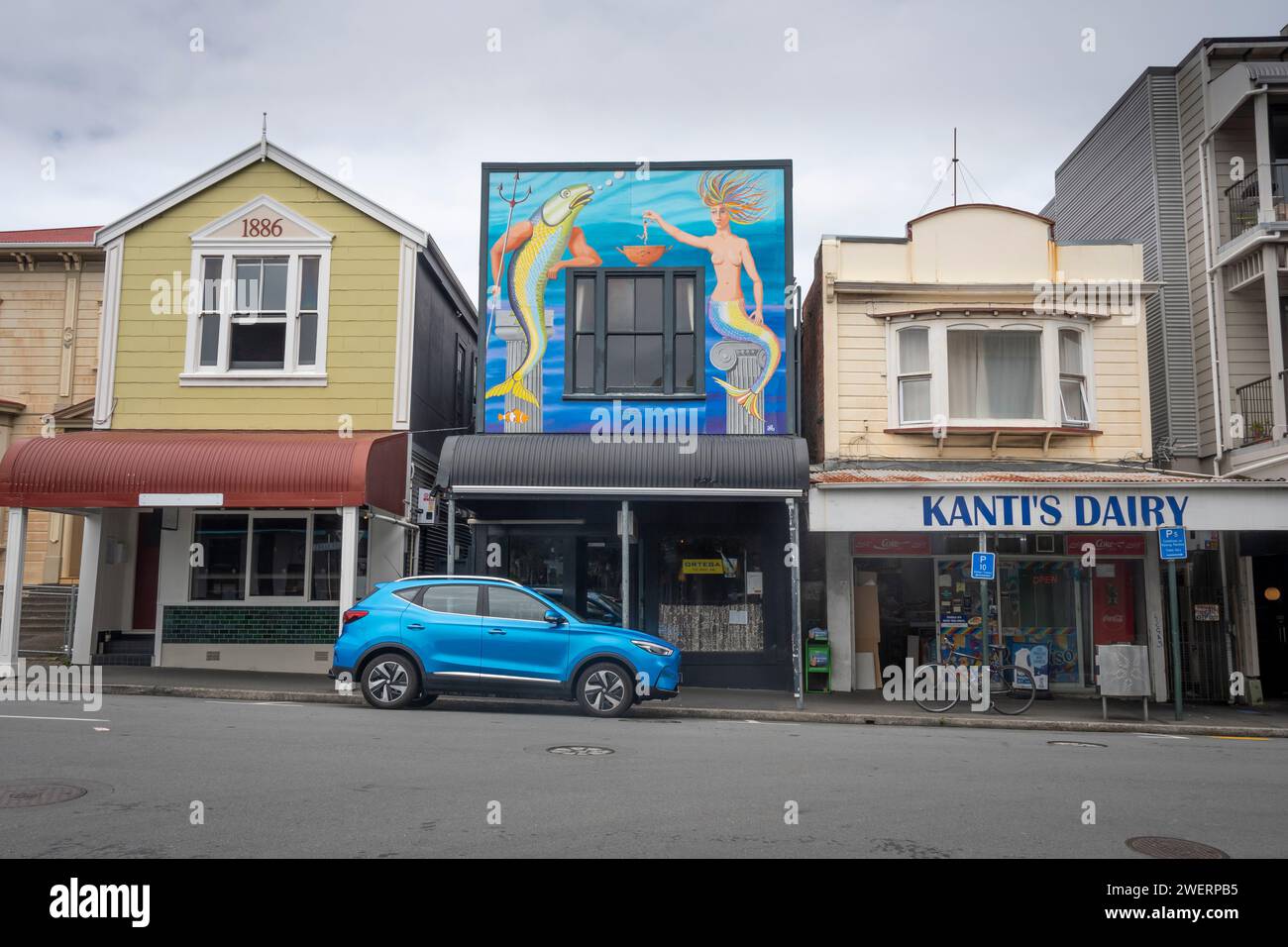 Negozi, Mount Victoria, Wellington, North Island, nuova Zelanda Foto Stock
