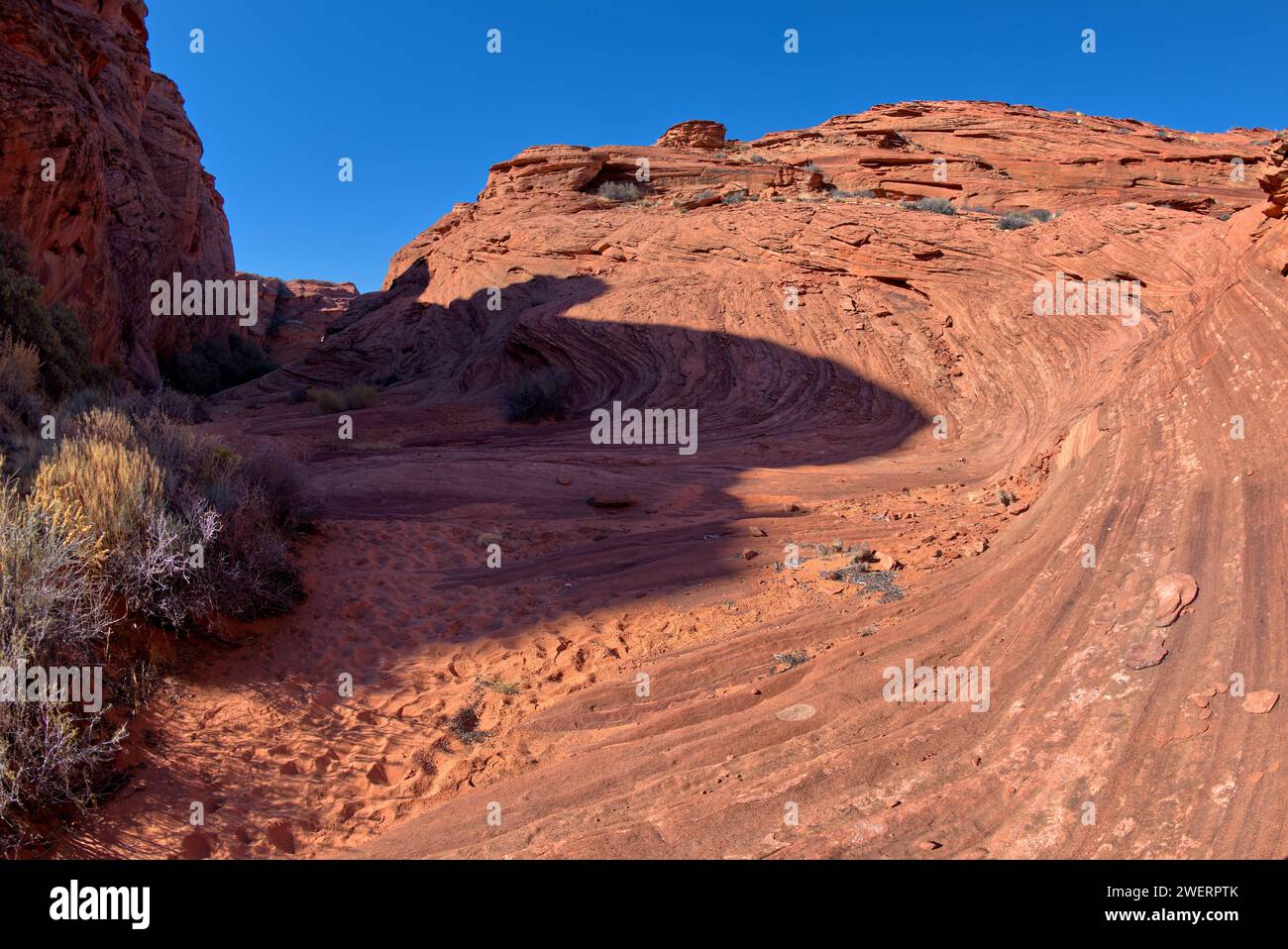 Arenaria ondulata nel canyon sperone appena a nord del principale punto panoramico di Horseshoe Bend Arizona. Foto Stock