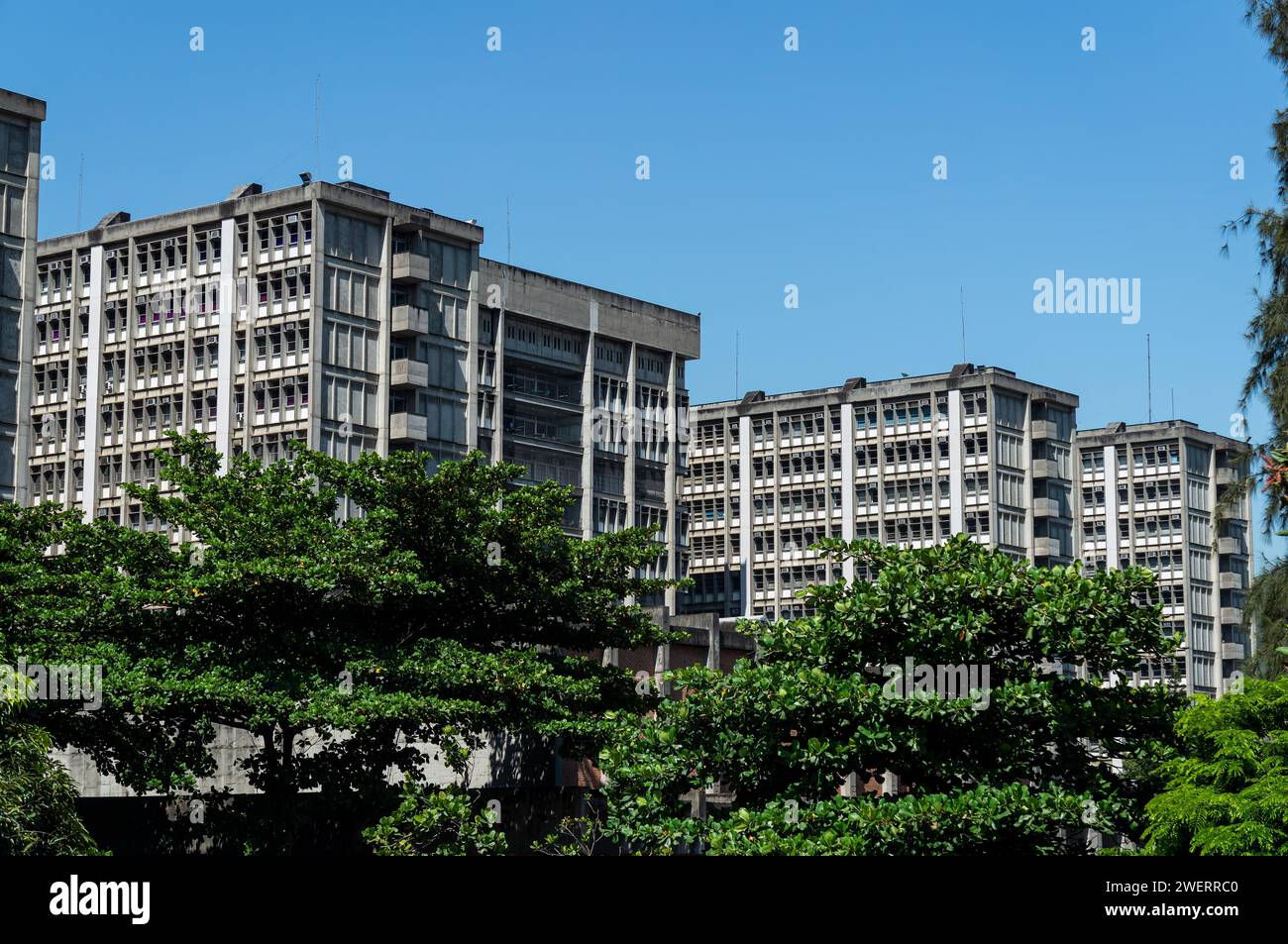 Vista parziale degli edifici dell'Università statale di Rio de Janeiro (UERJ) con alti alberi con vegetazione verde intorno al cielo blu mattutino d'estate. Foto Stock