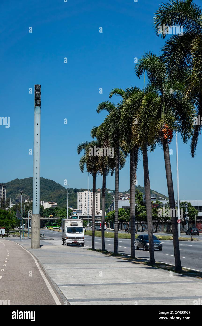 Una fila di palme sull'ampio marciapiede di Rei Pele avenue, sul lato nord dello stadio Maracana, nel quartiere Maracana, sotto il cielo blu del mattino d'estate. Foto Stock